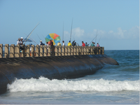 The exclusion of subsistence fishers from public spaces in Durban.png